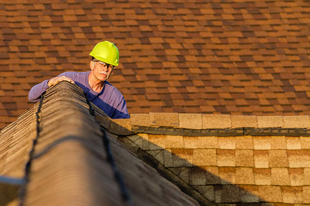 Best Roof Gutter Cleaning  in Wading River, NY